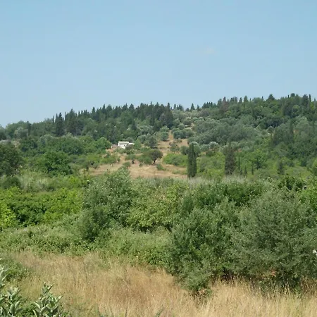 Apartment Tom's House/2 Between Paleokastritsa Dassia Ipsos! *